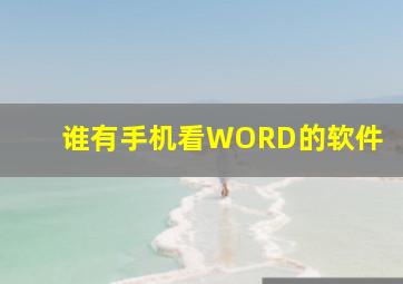 谁有手机看WORD的软件