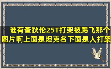 谁有查狄伦25T打架被踢飞那个图片啊(上面是坦克名下面是人打架那个