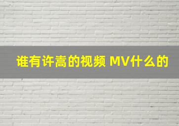 谁有许嵩的视频 MV什么的