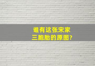 谁有这张宋家三胞胎的原图?