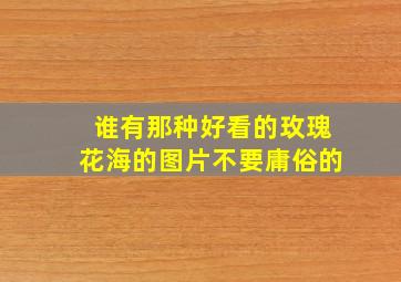 谁有那种好看的玫瑰花海的图片,不要庸俗的。