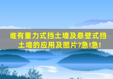 谁有重力式挡土墙及悬壁式挡土墙的应用及图片?急!急!