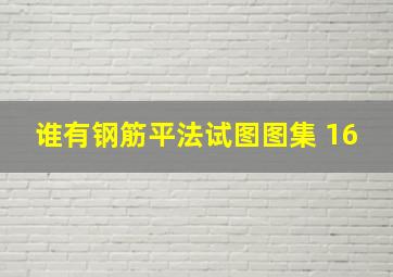 谁有钢筋平法试图图集 16