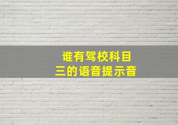 谁有驾校科目三的语音提示音