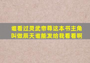 谁看过灵武帝尊这本书,主角叫做辰天谁能发给我看看啊