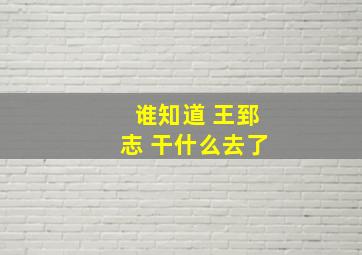 谁知道 王郅志 干什么去了