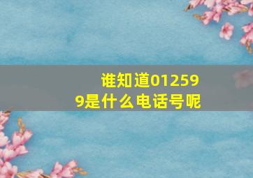 谁知道012599是什么电话号呢