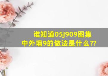 谁知道05J909图集中外墙9的做法是什么??