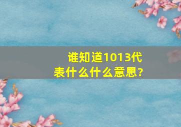 谁知道1013代表什么,什么意思?