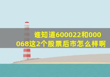 谁知道600022和000068这2个股票后市怎么样啊