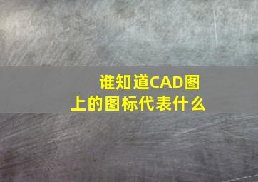 谁知道CAD图上的图标代表什么