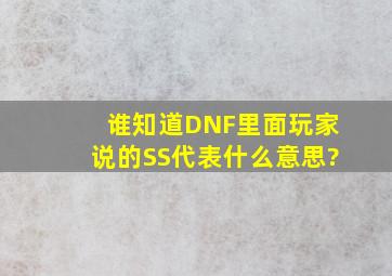 谁知道DNF里面玩家说的SS代表什么意思?