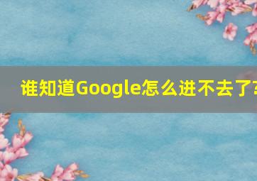 谁知道Google怎么进不去了?