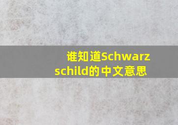 谁知道Schwarzschild的中文意思