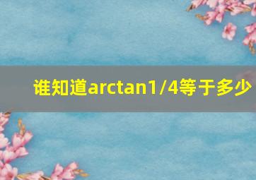 谁知道arctan1/4等于多少