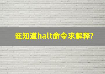 谁知道halt命令,求解释?