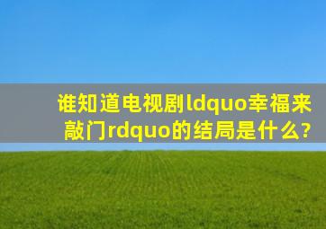 谁知道、电视剧“幸福来敲门”的结局是什么?