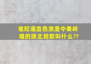 谁知道《血色浪漫》中秦岭唱的陕北民歌叫什么??