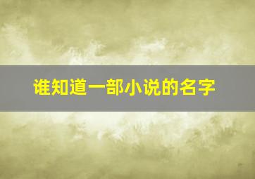 谁知道一部小说的名字(