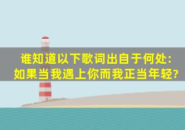 谁知道以下歌词出自于何处:如果当我遇上你,而我正当年轻?