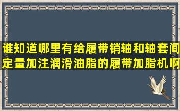 谁知道哪里有给履带销轴和轴套间定量加注润滑油脂的履带加脂机啊?...