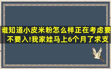 谁知道小皮米粉怎么样,正在考虑要不要入!我家娃马上6个月了,求支招?