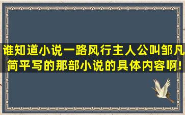 谁知道小说一路风行,主人公叫邹凡,简平写的那部小说的具体内容啊!...