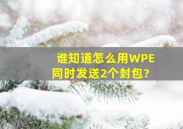 谁知道怎么用WPE同时发送2个封包?