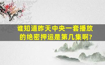 谁知道昨天中央一套播放的绝密押运是第几集啊?