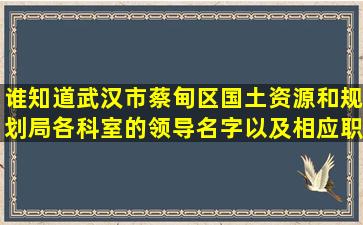 谁知道武汉市蔡甸区国土资源和规划局各科室的领导名字以及相应职务