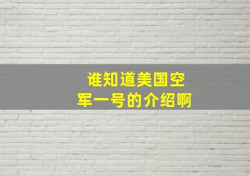 谁知道美国空军一号的介绍啊