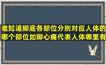 谁知道脚底各部位分别对应人体的哪个部位,如脚心痛代表人体哪里有...