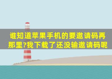 谁知道苹果手机的要邀请码再那里?我下载了还没输邀请码呢