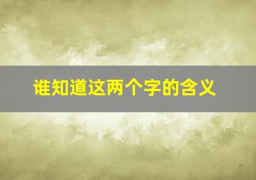 谁知道这两个字的含义