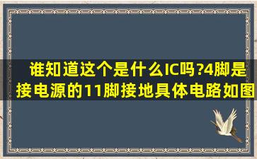 谁知道这个是什么IC吗?4脚是接电源的,11脚接地,具体电路如图所示