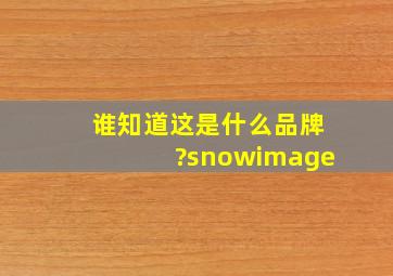 谁知道这是什么品牌?snowimage