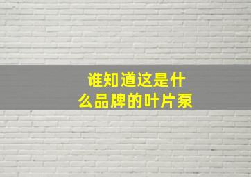 谁知道这是什么品牌的叶片泵