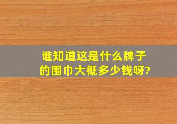 谁知道这是什么牌子的围巾,大概多少钱呀?