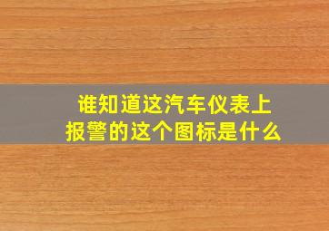 谁知道这汽车仪表上报警的这个图标是什么(