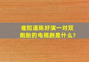 谁知道陈好演一对双胞胎的电视剧是什么?