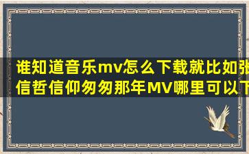 谁知道音乐mv怎么下载就比如张信哲信仰匆匆那年MV哪里可以下找