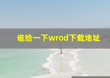 谁给一下wrod下载地址