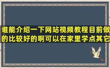 谁能介绍一下网站视频教程目前做的比较好的啊,可以在家里学点其它...