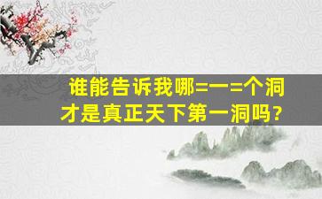 谁能告诉我,哪=一=个洞才是真正天下第一洞吗?