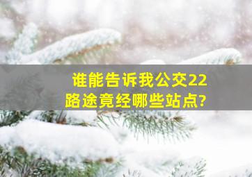 谁能告诉我公交22路途竟经哪些站点?