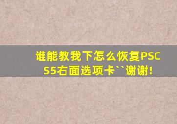 谁能教我下,怎么恢复PSCS5右面选项卡``谢谢!