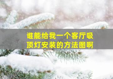 谁能给我一个客厅吸顶灯安装的方法图啊