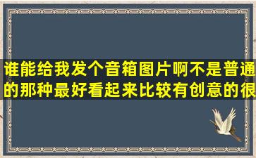 谁能给我发个音箱图片啊,不是普通的那种,最好看起来比较有创意的,很...