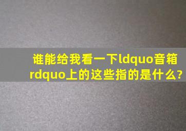 谁能给我看一下“音箱”上的这些指的是什么?