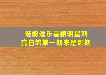 谁能逗乐喜剧明星刘亮白鸽第一期来是哪期